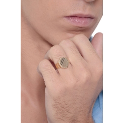 MAGIIE Anello Chevalier,Anello Oro,Anello Grande Uomo,Anello in Acciaio Inossidabile per Uomo,Misura 20 alla 30 (Oro, 24