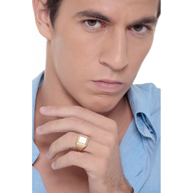 Male chevalier ring in yellow gold 18k