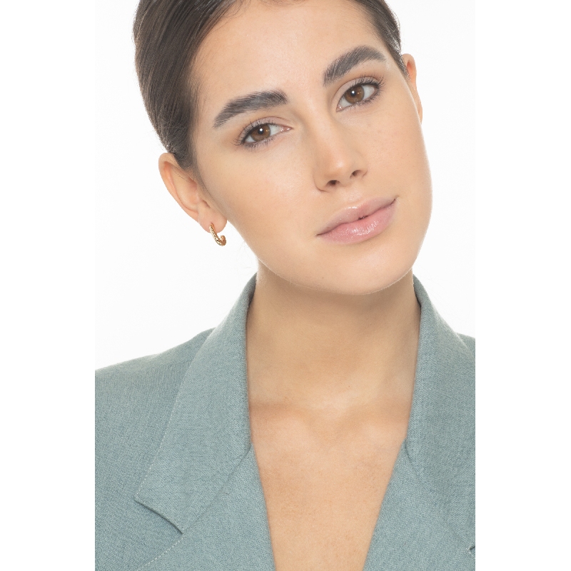 18k yellow gold hook earrings