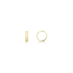Earrings in yellow gold 18k