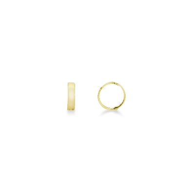 Earrings in yellow gold 18k