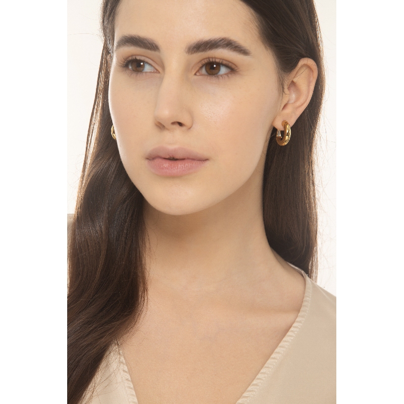 Earrings in yellow gold 18k 