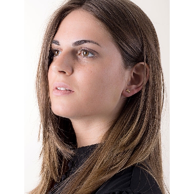 18k yellow gold horse earrings