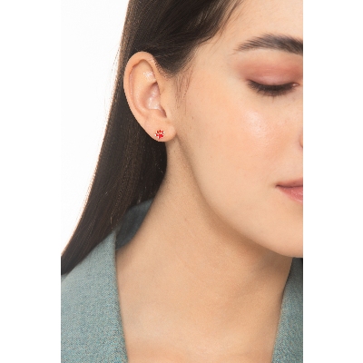 OG CAGNOLINO BIANCO / ZAMPA ROSSA  (COMMISSIONE)