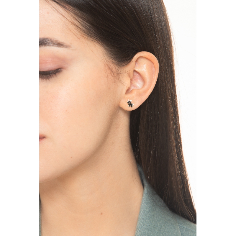 OG CAGNOLINO NERO / ZAMPA ROSA (COMMISSIONE)