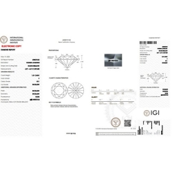 DIA 1.01CT F VS1 IGI$698570130 2