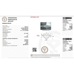 DIA 0.51CT E VS1 IGI$788691912 2
