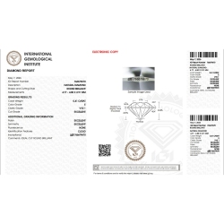 DIA 0.41CT E VVS1 IGI$766679670 2